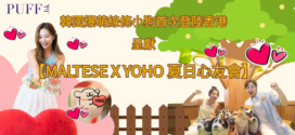 元朗YOHO 系商場【MALTESE X YOHO 夏日心友會】8月兩大線條小狗主題工作坊開催及激賞限定版YOHO聯乘線條小狗盲盒