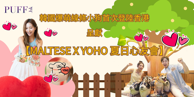 元朗YOHO 系商場【MALTESE X YOHO 夏日心友會】8月兩大線條小狗主題工作坊開催及激賞限定版YOHO聯乘線條小狗盲盒